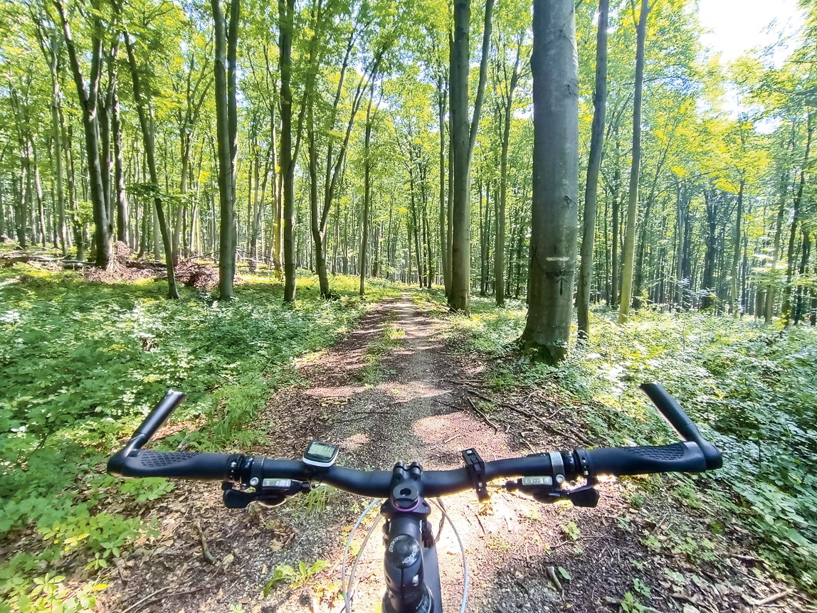 TIP na cyklovýlet: Malacky – Rohožník – Kuchyňa – Lozorno – Zohor – Plavecký Štvrtok – Malacky