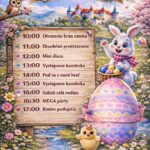 656750958_1384397680370719_2387891170691720345_n