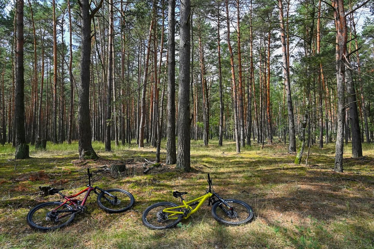 TIP na cyklovýlet: TRASA č. 12 Borovicovými lesmi Záhoria